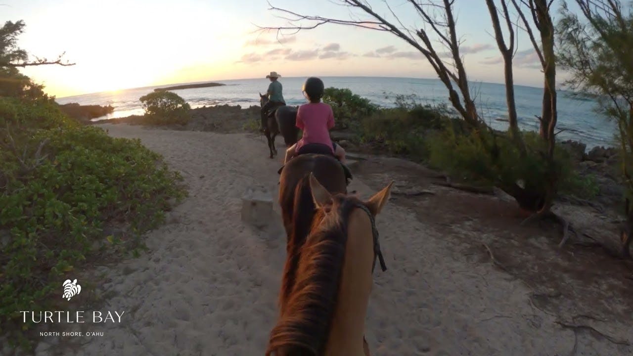 Turtle Bay Resort's horseback rides put smiles on faces