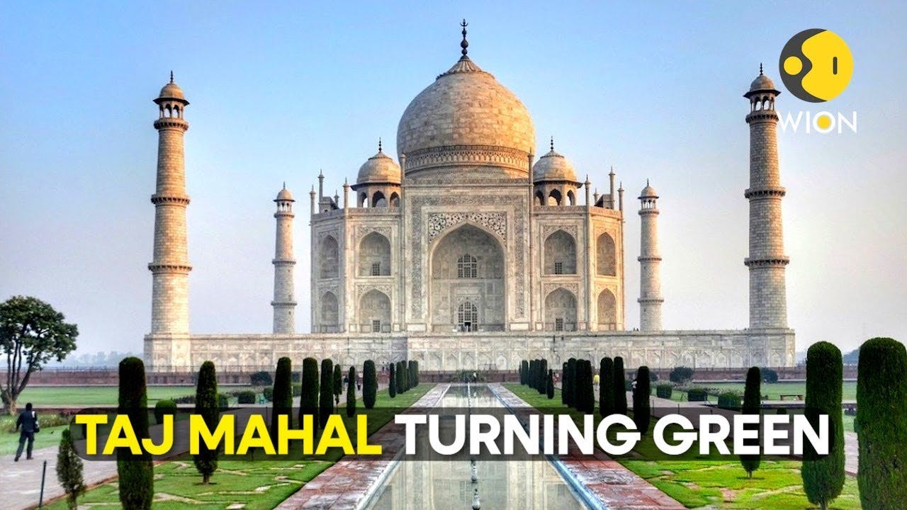 Oh No Taj! Why is Agra's Taj Mahal turning green again?