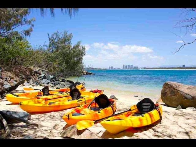 Seaway Kayaking Tours