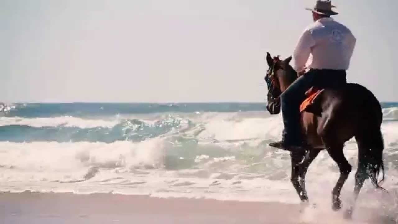 Rainbow Beach Horse Rides