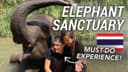  Chiang Mai, Elephant Sanctuary Experience in Thailand 🇹🇭