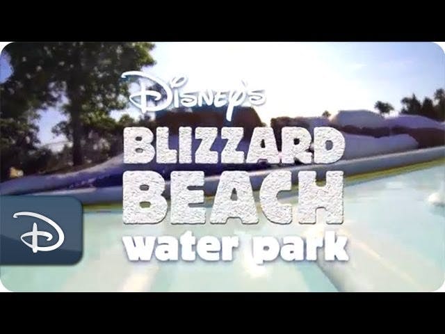 Disney's Blizzard Beach Water Park