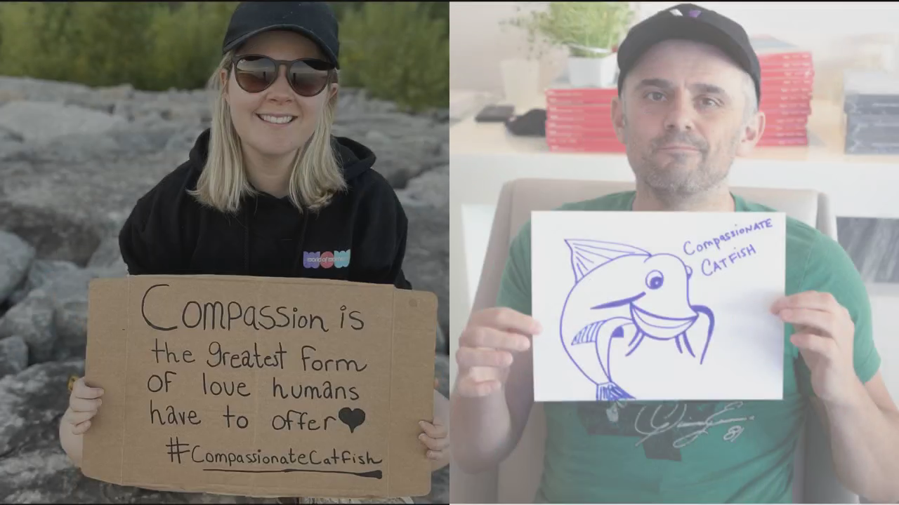 Compassionate Catfish @blaire_bee