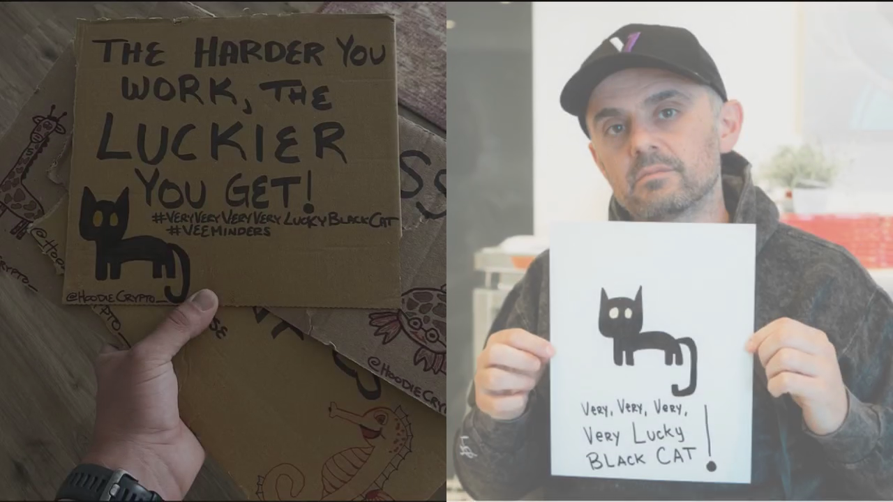 Very, Very, Very, Very, Lucky Black Cat! @HoodieCrypto_